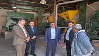 بازید معاون غذا و دارو از کارخانجات تولید کننده فرآورده های غذایی، آشامیدنی، آرایشی و بهداشتی در ایام نوروزی