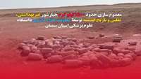معدوم سازی حدود 1500هزار کیلوگرم خیارشور غیربهداشتی در سمنان