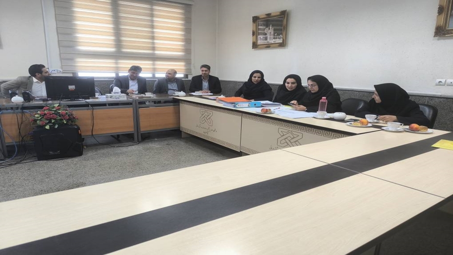 برگزاری دومین کمیته تخصصی پیشگیری و مبارزه با قاچاق کالاهای سلامت محور و دخانی سال 1405